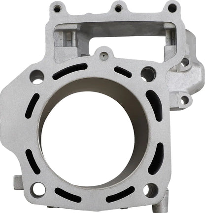 CYLINDER WORKS Standard Motorcylinder TERYX Bak bild 1 PMMEDIA:da6a9476f3980b29