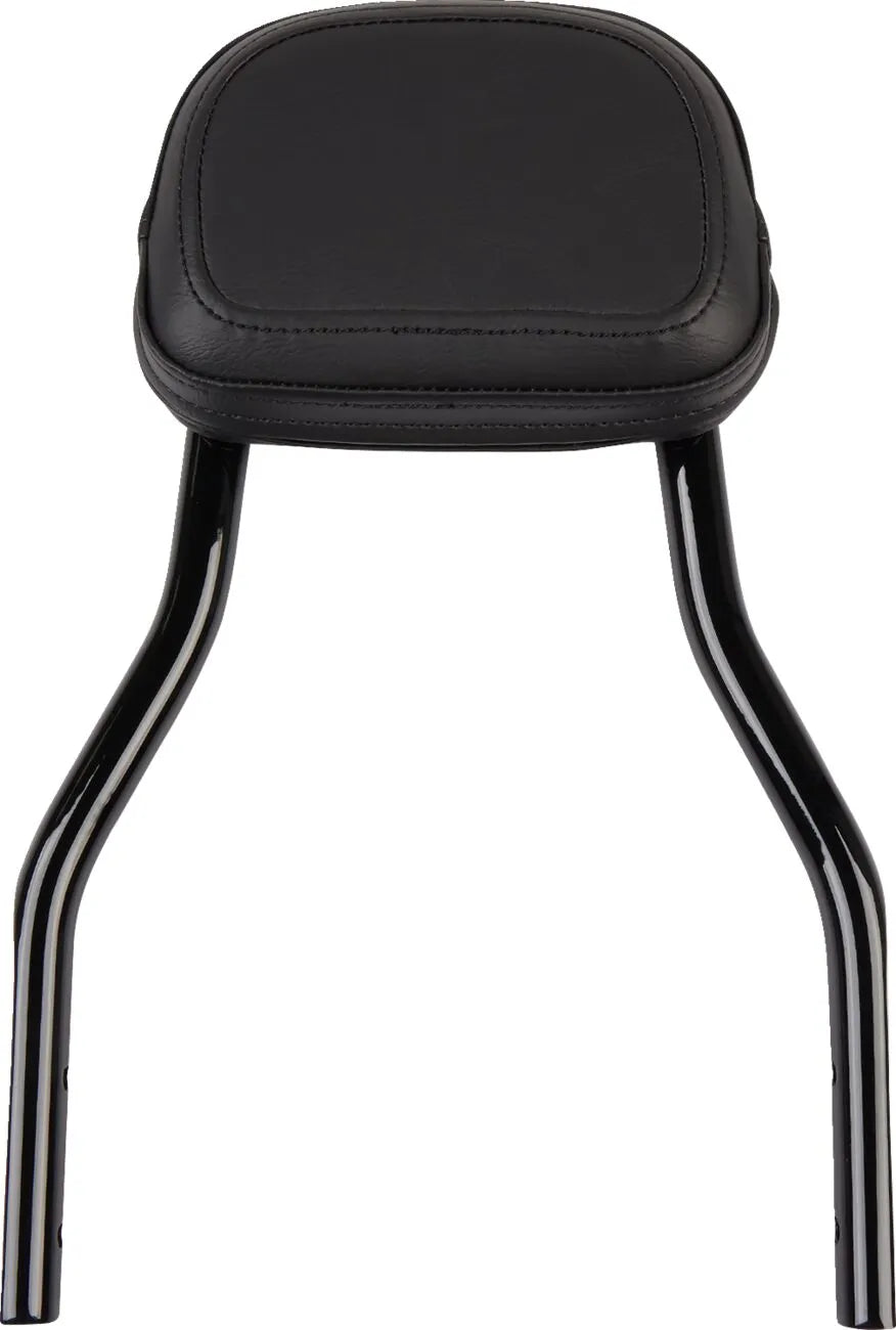 Cobra Detachable Backrest Kit Sissybars bild 10 PMMEDIA:98cff680750026ec