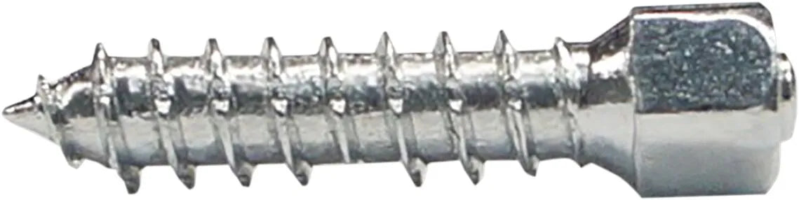 WOODY'S Twist Däckskruvar 25 mm 100-pack bild 1 PMMEDIA:d6f6b4980a817cc8