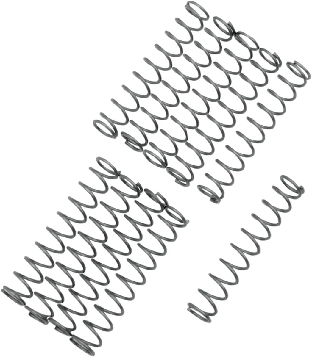 EASTERN MOTORCYCLE PARTS Oljetrycksventilsfjädrar TC bild 1 PMMEDIA:981b991b337a7d64