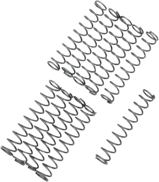 EASTERN MOTORCYCLE PARTS Oljetrycksventilsfjädrar TC bild 1 PMMEDIA:981b991b337a7d64