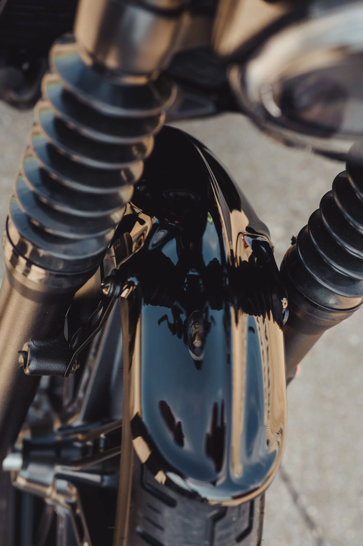 CULT WERK Front Fender Old School bild 3 PMMEDIA:ce80e9bf3390ee10