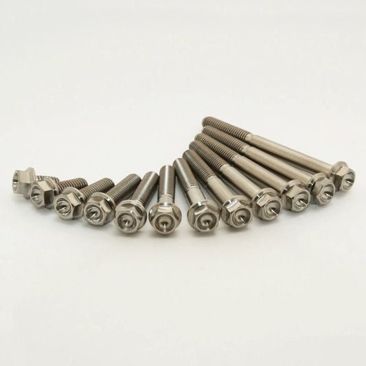 SCAR RACING Titanium Skruvar M8 för SXF bild 1 PMMEDIA:729de3dae1e49e6d