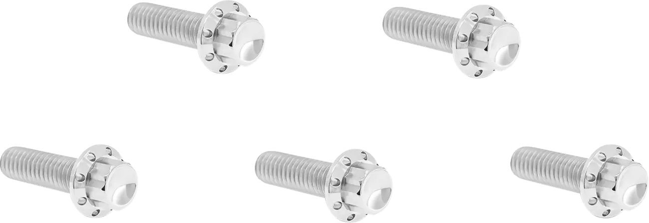 Arlen Ness Derby Cover Titanium 12-Point Bolt Kit Monteringssats fordonsanpassade bild 2 PMMEDIA:b583cd830193c490