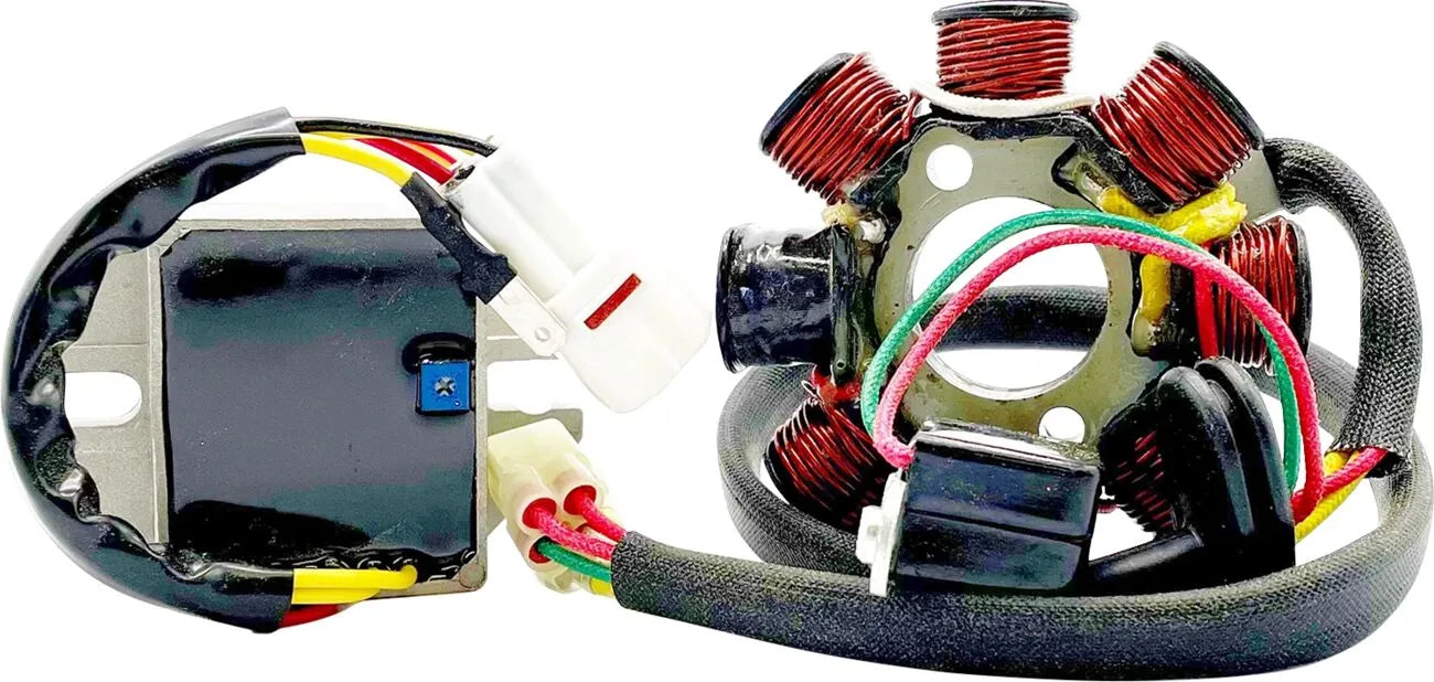 RICK'S MOTORSPORT ELECTRIC Lithium-Ion kompatibelt laddningskit bild 1 PMMEDIA:fb7b3b8254ef275b