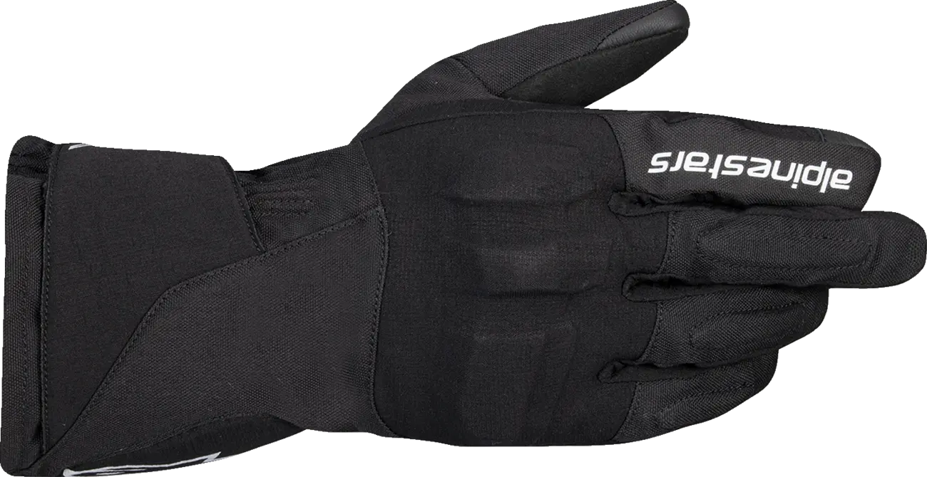 Alpinestars (Road) WT-1 Drystar® Insulated Touringhandskar herr bild 1 PMMEDIA:cafa517cfa85349c