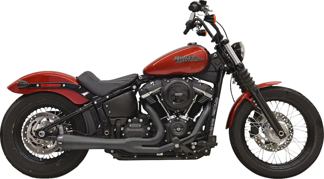 Bassani Xhaust 2-into-1 Road Rage III Exhaust System Kompletta avgassystem Harley bild 2 PMMEDIA:92e94bbacef4d788