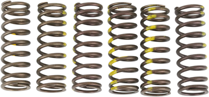 PRO CIRCUIT Clutchfjäderset för RMZ450 bild 1 PMMEDIA:dd85a85fe3b78e1c