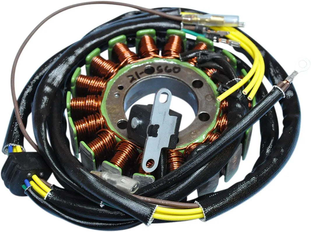 RICK'S MOTORSPORT ELECTRIC Stator Polaris 18-polig bild 1 PMMEDIA:17b69eaa2db18df6