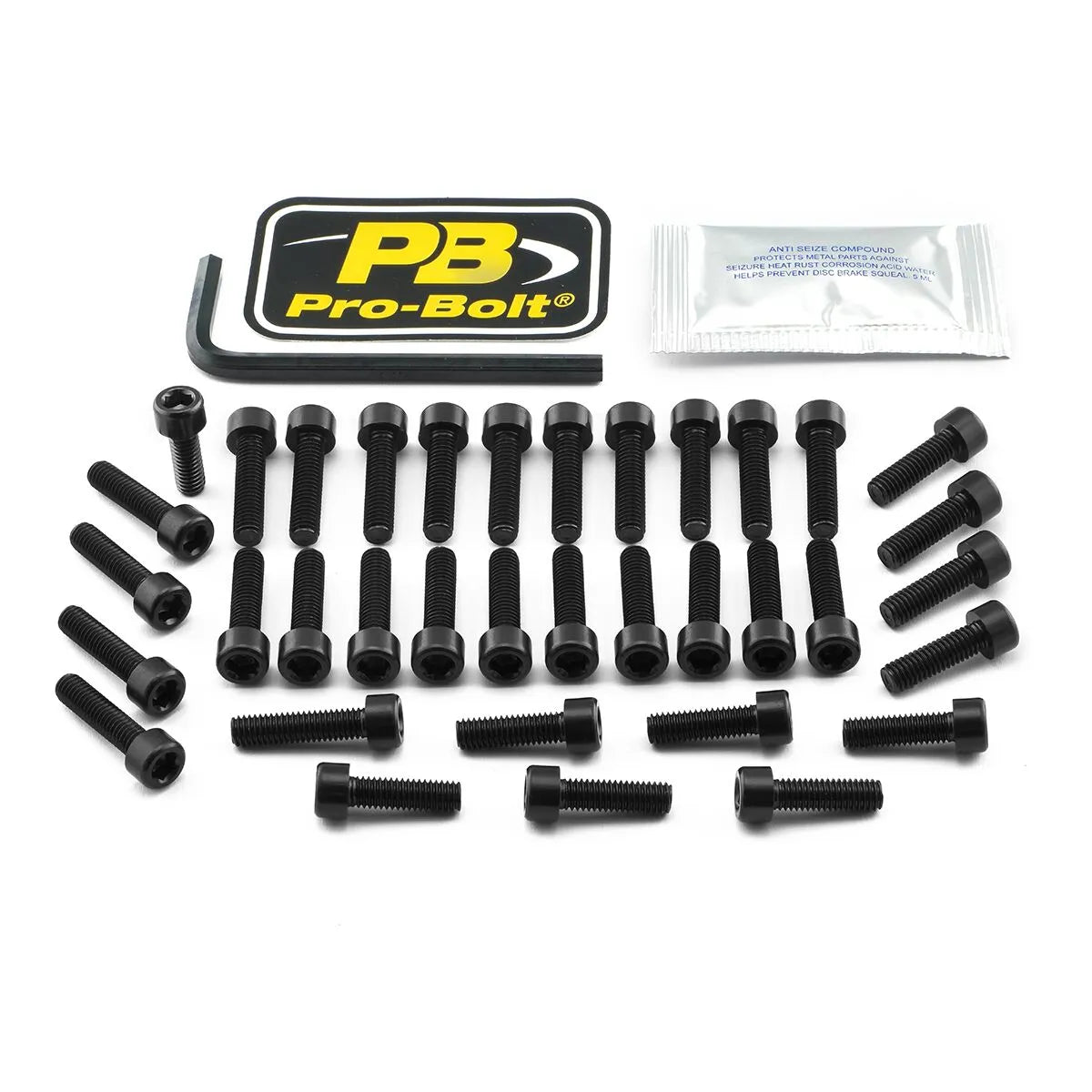 PRO BOLT Aluminium Motorbultkit för Triumph bild 1 PMMEDIA:e2c361b83f2daf4a