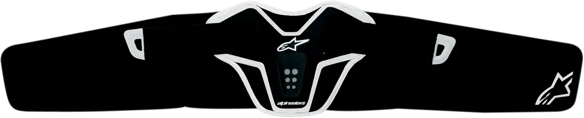ALPINESTARS Saturn Kidney Belt bild 1 PMMEDIA:80e6a718bd50f3c1
