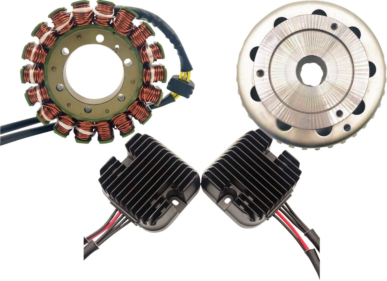 RICK'S MOTORSPORT ELECTRIC Double Shot Charging Kit bild 1 PMMEDIA:ea8a014fdc1467e8