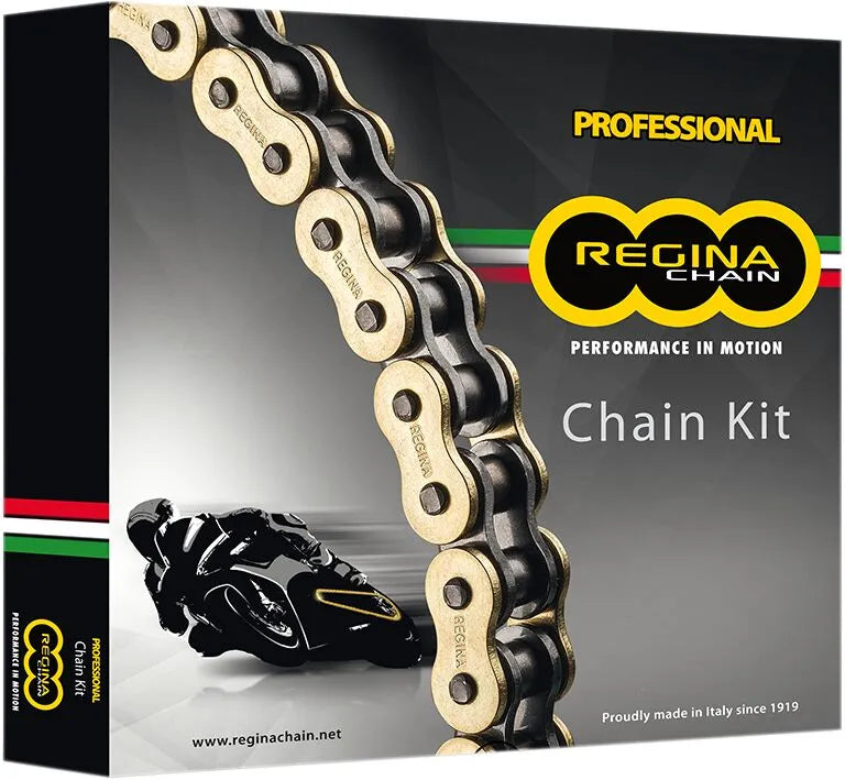 REGINA Kedja och Drivpaket KIT DUC MULTI 03-09/HYPER07-10 bild 1 PMMEDIA:48af5fa37a278cb6