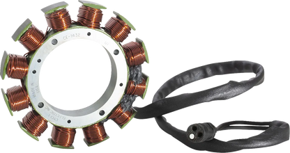 CYCLE ELECTRIC INC Stator XL 14-22 OEM 29900026 bild 1 PMMEDIA:7e1d71e9f47ae2da