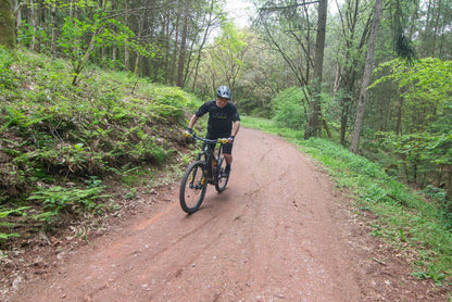 AVS RACING Handtagskydd med aluminiumfästen bild 4 PMMEDIA:ae0423760e1142dc