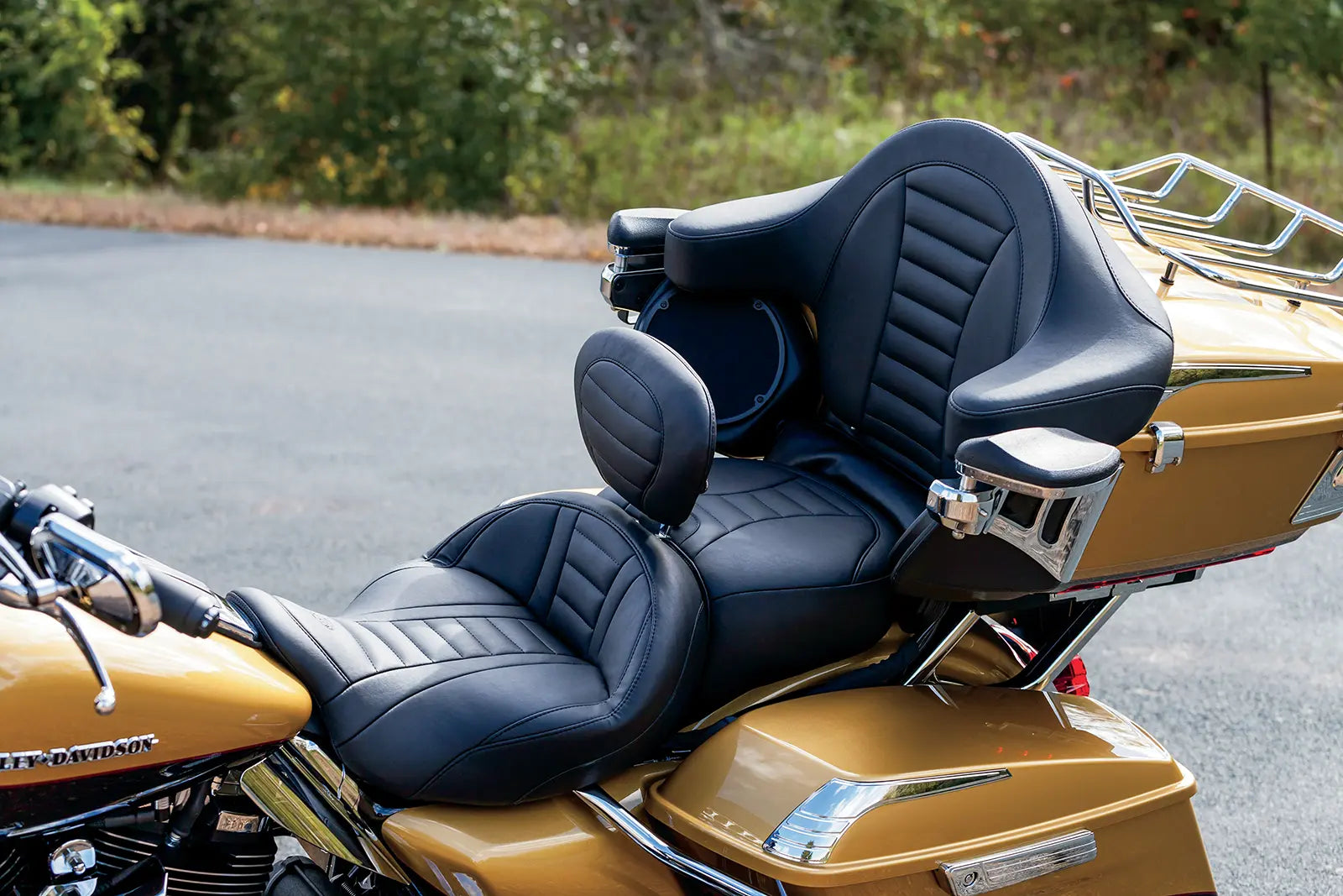 Mustang Super Touring Removable Driver Backrest Ryggstöd för sadlar bild 8 PMMEDIA:f9eb076007fc6a7e