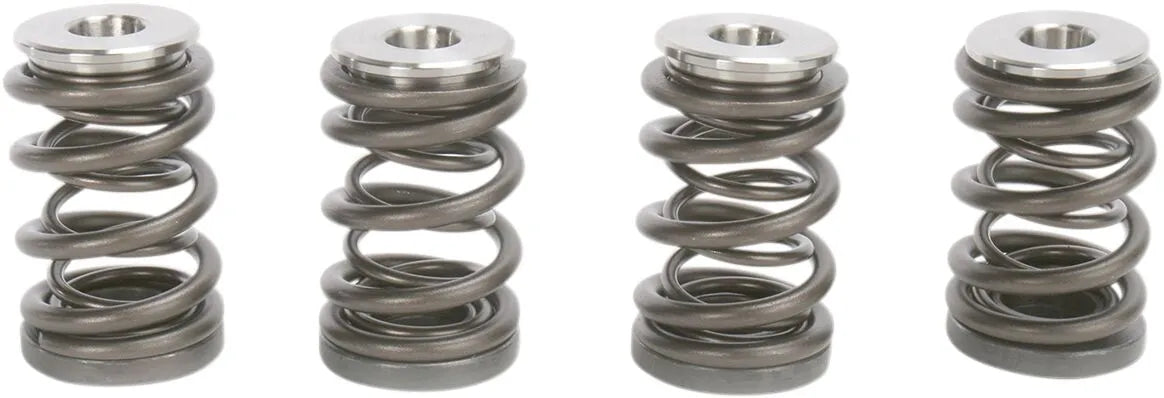 KIBBLEWHITE Ventilfjädersats KTM 450/540 bild 2 PMMEDIA:1f2fbb198f834a42