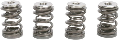 KIBBLEWHITE Ventilfjädersats KTM 450/540 bild 2 PMMEDIA:1f2fbb198f834a42