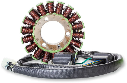 RICK'S MOTORSPORT ELECTRIC Stator Polaris bild 1 PMMEDIA:63141a8b89e5f2dd