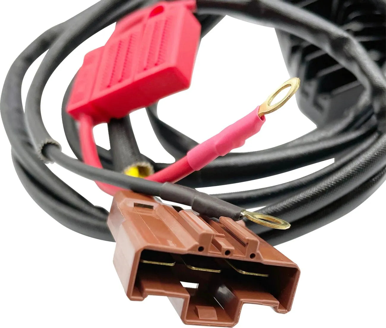 RICK'S MOTORSPORT ELECTRIC Hot Shot Lithium-Ion Kompatibel Regulator bild 3 PMMEDIA:7e6310819cbfb69f