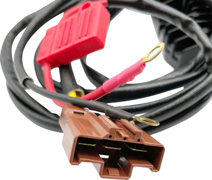 RICK'S MOTORSPORT ELECTRIC Hot Shot Lithium-Ion Kompatibel Regulator bild 3 PMMEDIA:7e6310819cbfb69f