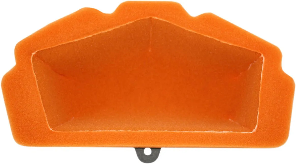 TWIN AIR Standard Luftfilter för KAW Z650/NINJA bild 1 PMMEDIA:6e42e3b9a2c0310b