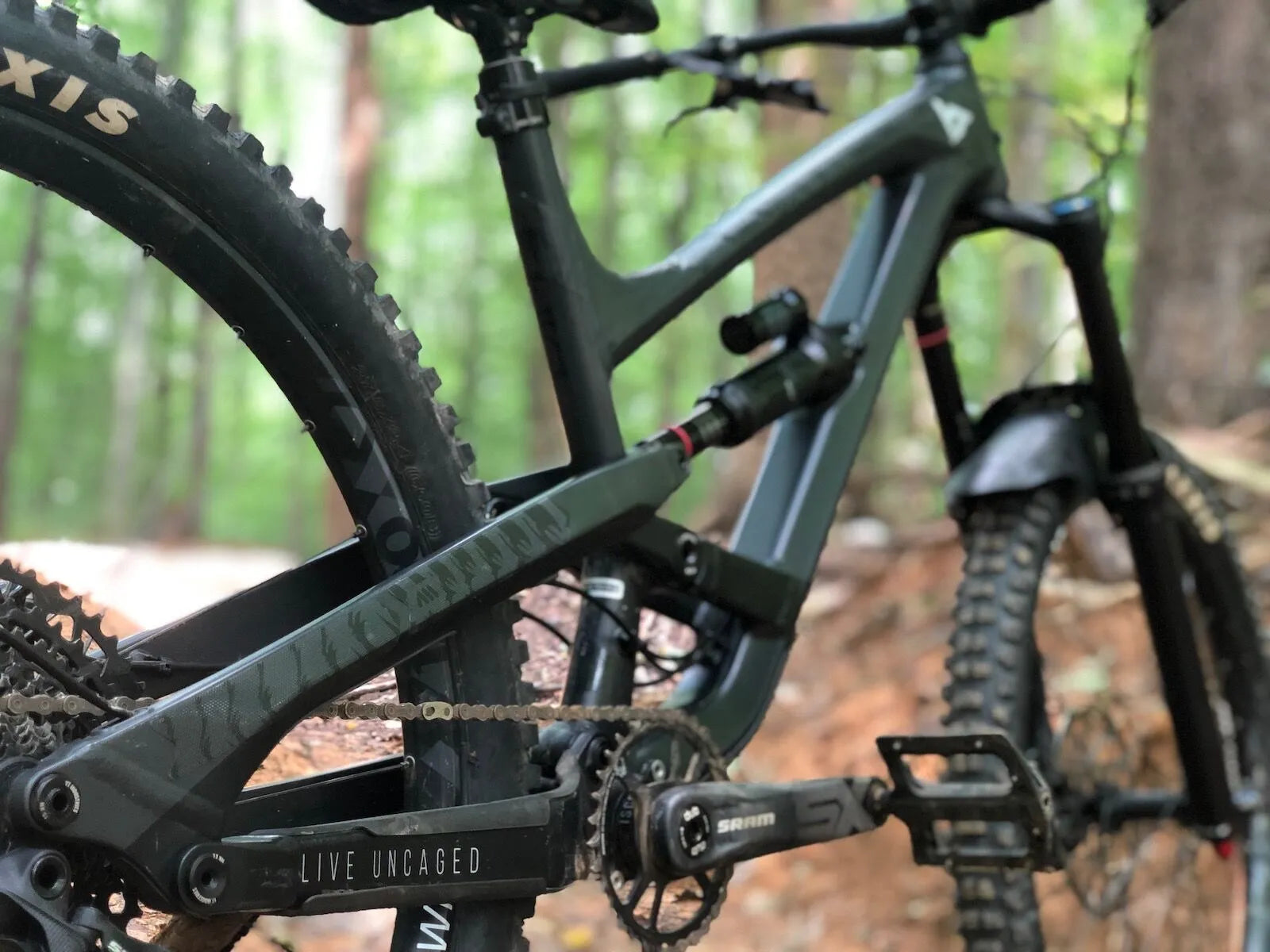 ALL MOUNTAIN STYLE Frame Guard Extra Protection Bear bild 5 PMMEDIA:68332b36433b240c