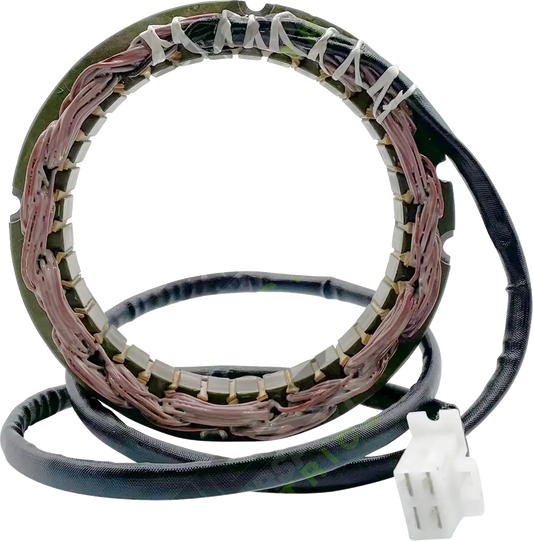 RICK'S MOTORSPORT ELECTRIC Hot Shot Regulator & Likriktare Yamaha XVS bild 1 PMMEDIA:23d55b09593f2c78