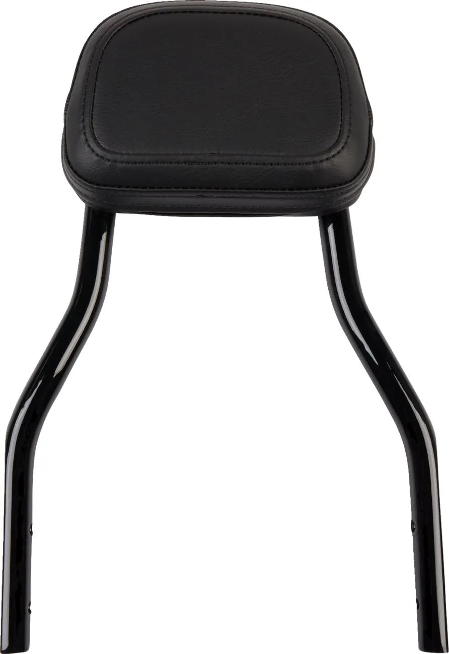 Cobra Detachable Backrest Kit Sissybars bild 12 PMMEDIA:065e4dcb6b927324