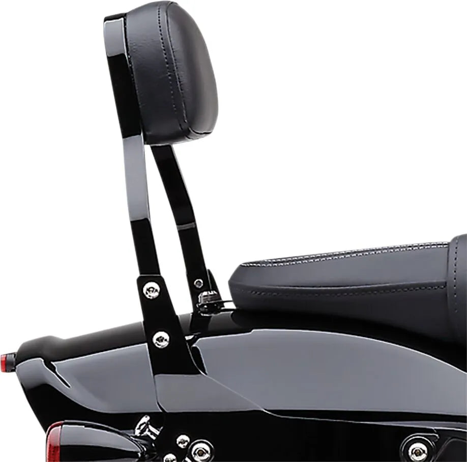 Cobra Detachable Backrest Kit Sissybars bild 8 PMMEDIA:8473eef6ffb41254