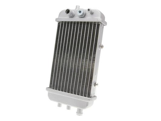 101 OCTANE Radiator för modell med elfläkt bild 1 PMMEDIA:802de0fa6a98ea43