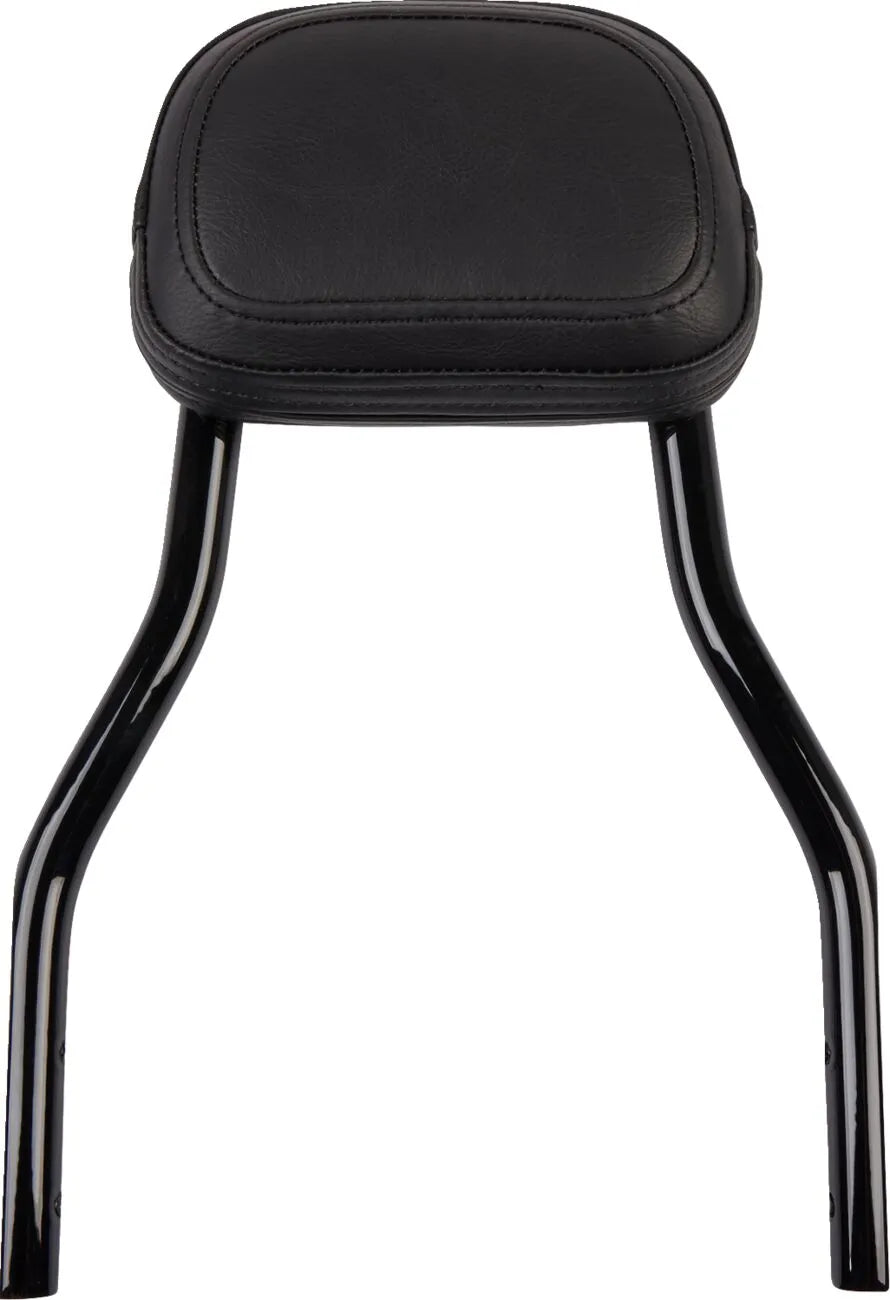 Cobra Detachable Backrest Kit Sissybars bild 6 PMMEDIA:41270826ddc84e41