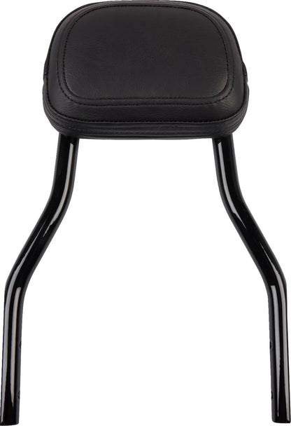 Cobra Detachable Backrest Kit Sissybars bild 6 PMMEDIA:41270826ddc84e41