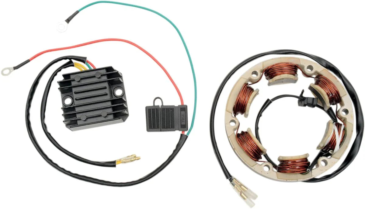 RICK'S MOTORSPORT ELECTRIC High-Output Charging Kit bild 1 PMMEDIA:d14dc0a6feeb4cce