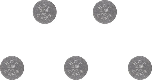 HOT CAMS Ventiljusteringsbrickor 5-pack 7,48x2,95 mm bild 1 PMMEDIA:f0d1b0ccebc66765