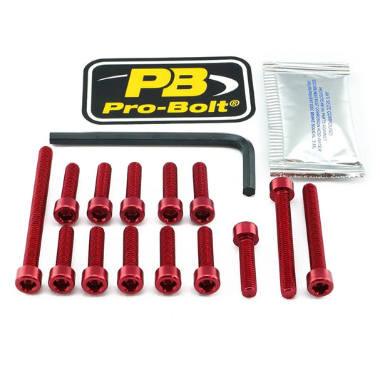 PRO BOLT Aluminium Motorbultkit för Kawasaki bild 1 PMMEDIA:89b0f69f443731b8