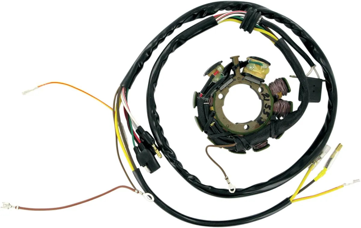 RICK'S MOTORSPORT ELECTRIC Stator Polaris bild 1 PMMEDIA:ce449f41bd75b2c5