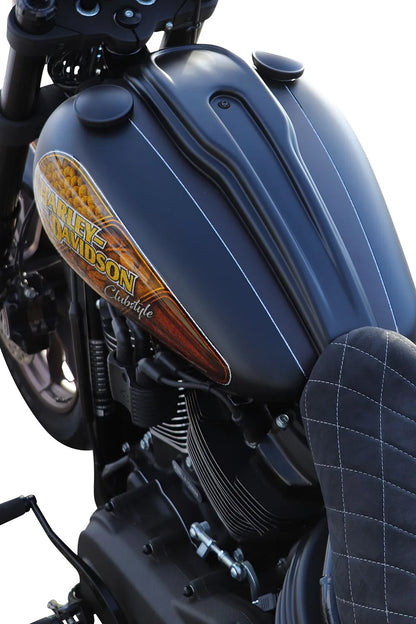 Cult Werk Dash Cover for Harley Instrumentpaneler bild 9 PMMEDIA:4043f90dd39b2b6a