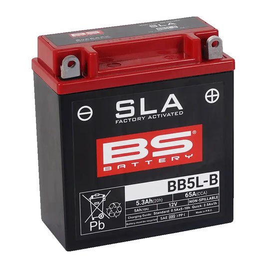 BS BATTERY BB5L-B AGM Underhållsfri Batteri 12V bild 1 PMMEDIA:45925067a6388abb