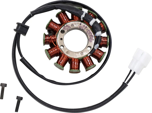 RICK'S MOTORSPORT ELECTRIC OEM-Style Stator Gas Gas bild 1 PMMEDIA:9aafeb7576e4cd23