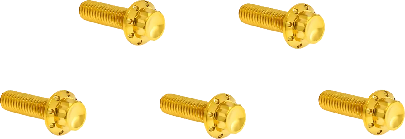 Arlen Ness Derby Cover 12-Point Titanium Bolt Kit Monteringssats fordonsanpassade bild 1 PMMEDIA:6dfe783e9f9345aa