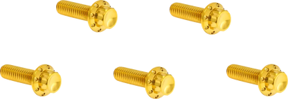 Arlen Ness Derby Cover 12-Point Titanium Bolt Kit Monteringssats fordonsanpassade bild 1 PMMEDIA:6dfe783e9f9345aa