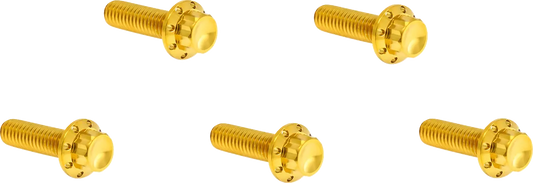 Arlen Ness Derby Cover 12-Point Titanium Bolt Kit Monteringssats fordonsanpassade bild 1 PMMEDIA:6dfe783e9f9345aa