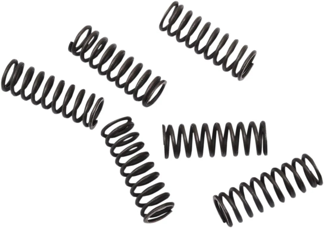 MOOSE OFFROAD HARD-PARTS Kopplingsfjäderset CRF450R bild 1 PMMEDIA:768fb75bf3491564