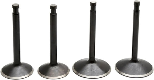 KIBBLEWHITE Black Diamond™ Ventilkit för Sportster 70-83 bild 1 PMMEDIA:674b0d4a9260a53e