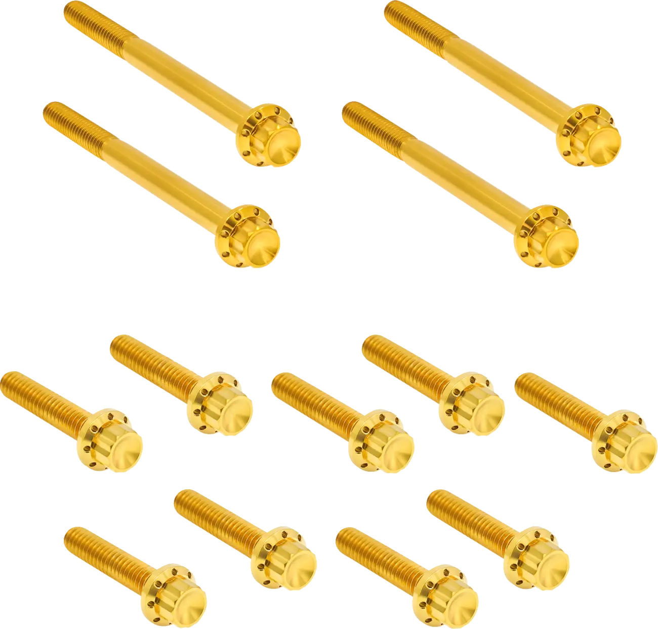 Arlen Ness Outer Primary Cover Titanium 12-Point Bolt Kit Monteringssats fordonsanpassade bild 3 PMMEDIA:67f1ee8afc63fe0f
