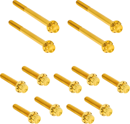 Arlen Ness Outer Primary Cover Titanium 12-Point Bolt Kit Monteringssats fordonsanpassade bild 3 PMMEDIA:67f1ee8afc63fe0f