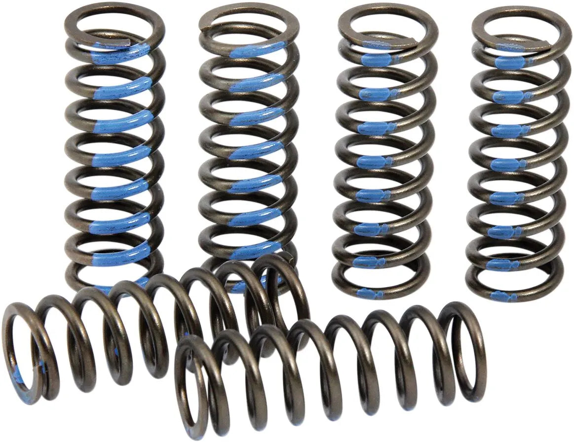 PRO CIRCUIT Kopplingsfjäderset YZ250F bild 1 PMMEDIA:58d5c21323d48e39