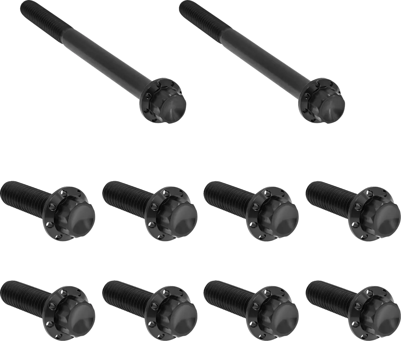 Arlen Ness Transmission Side Cover & Trap Door Titanium 12-Point Bolt Kit Monteringssats fordonsanpassade bild 1 PMMEDIA:7048a9fe82ab3fb5