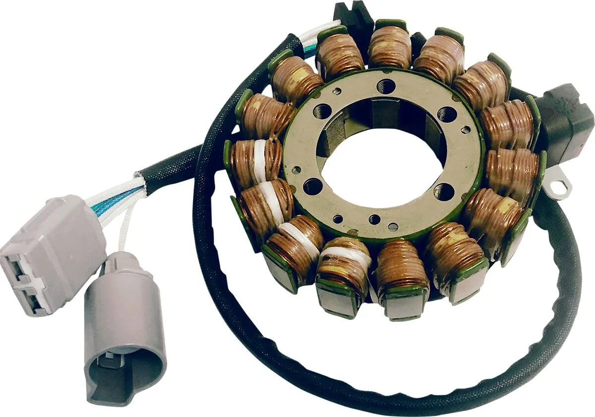RICK'S MOTORSPORT ELECTRIC OE Style Stator bild 4 PMMEDIA:e634010973af6826
